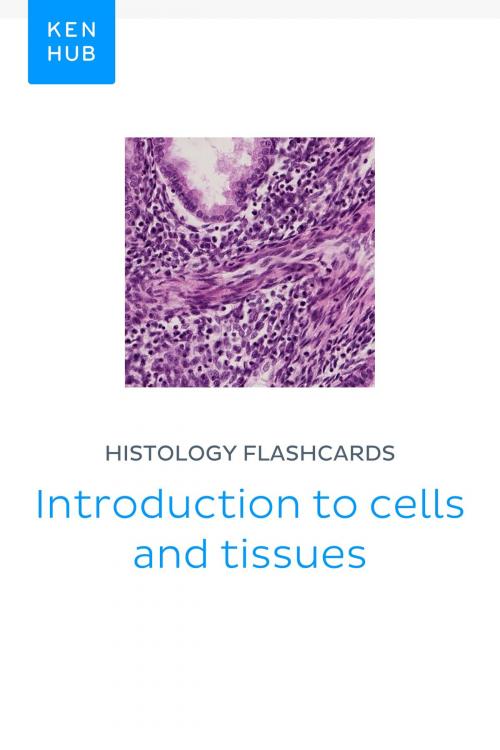 Cover of the book Histology flashcards: Introduction to cells and tissues by Kenhub, Kenhub
