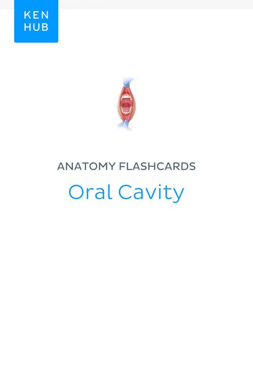 Cover of the book Anatomy flashcards: Oral Cavity by Kenhub, Kenhub