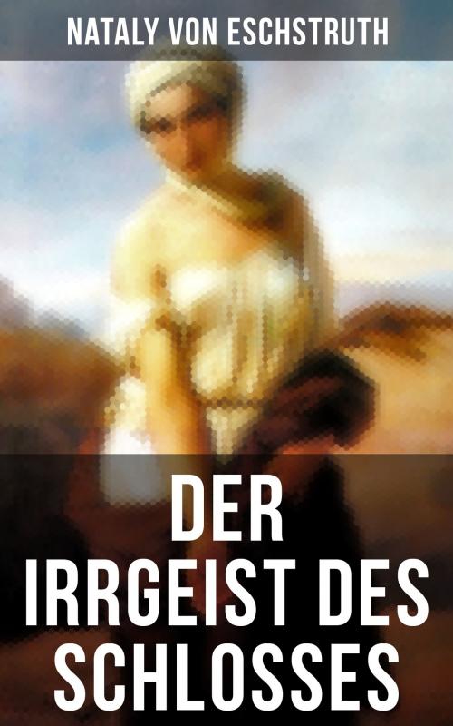 Cover of the book Der Irrgeist des Schlosses by Nataly von Eschstruth, Musaicum Books
