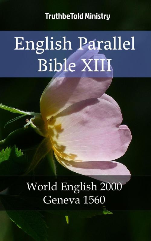 Cover of the book English Parallel Bible XIII by TruthBeTold Ministry, PublishDrive