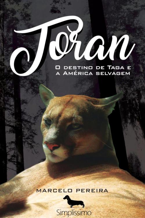 Cover of the book Toran by Marcelo Pereira, Simplíssimo Livros
