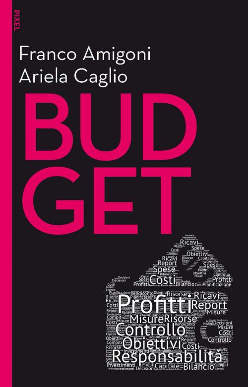 Cover of the book Budget by Franco Amigoni, Ariela Caglio, Egea