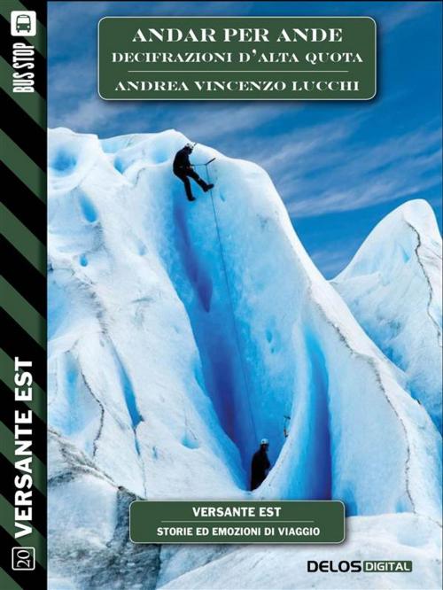 Cover of the book Andar per Ande - Decifrazioni d'alta quota by Andrea Vincenzo Lucchi, Delos Digital