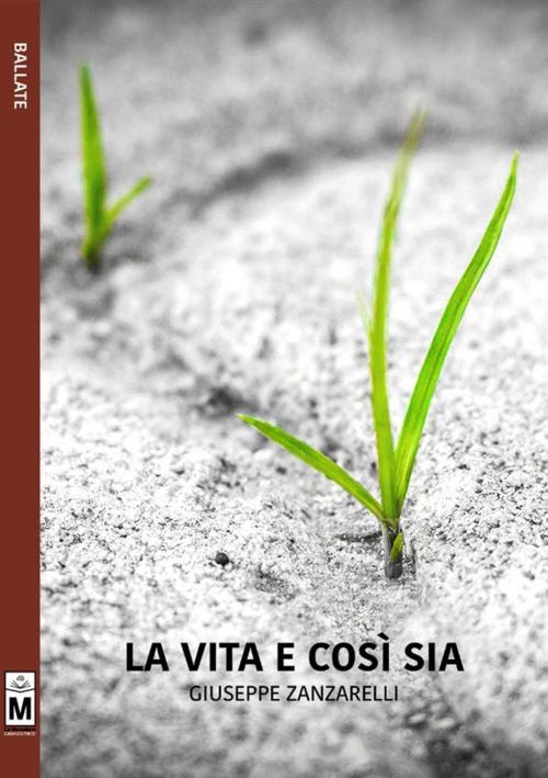 Cover of the book La vita e così sia by Giuseppe Zanzarelli, Le Mezzelane Casa Editrice