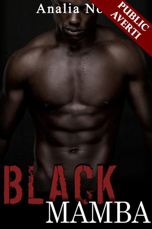Cover of the book Black Mamba by Analia Noir, Analia Noir