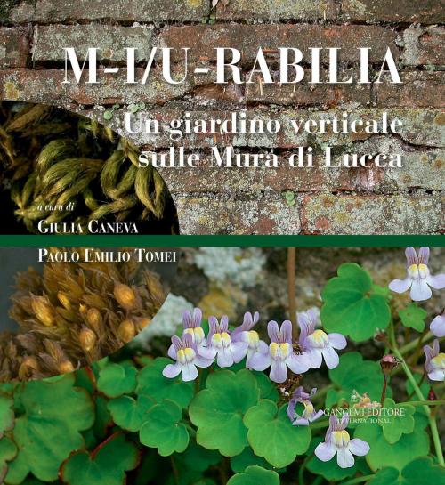 Cover of the book Un giardino verticale sulle Mura di Lucca by AA. VV., Gangemi Editore