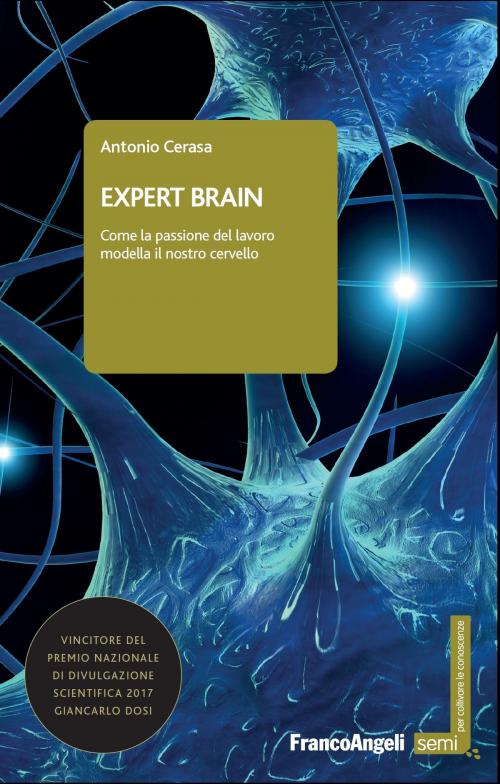 Cover of the book Expert brain by Antonio Cerasa, Franco Angeli Edizioni