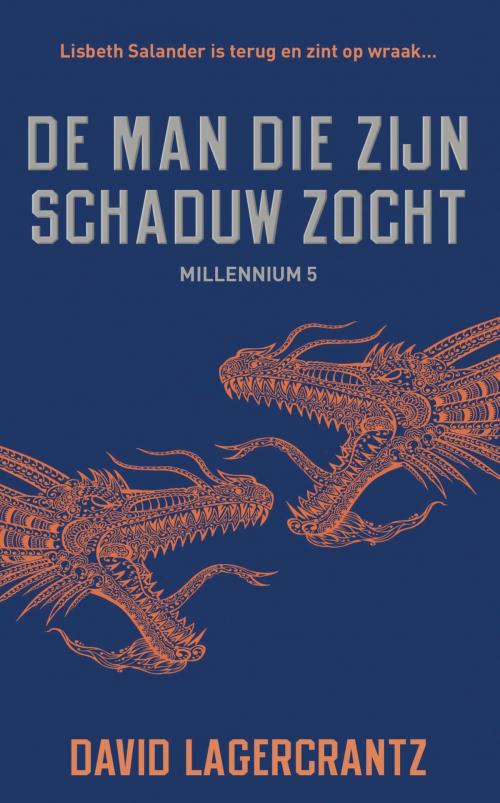 Cover of the book De man die zijn schaduw zocht by David Lagercrantz, Bruna Uitgevers B.V., A.W.