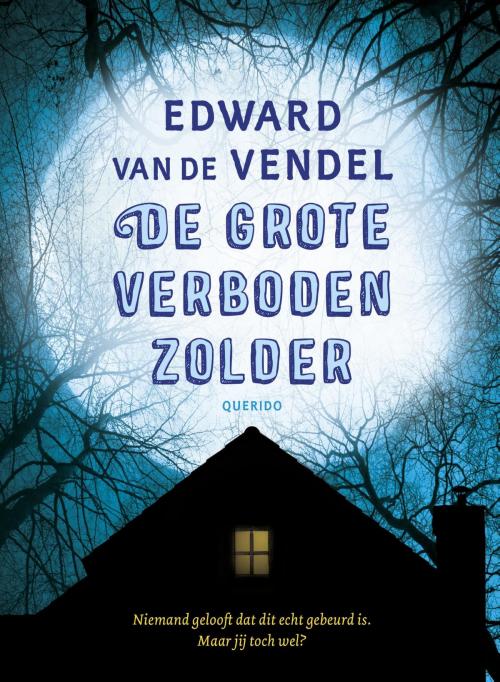 Cover of the book De grote verboden zolder by Edward van de Vendel, Singel Uitgeverijen