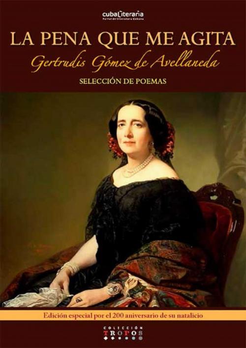 Cover of the book La pena que me agita by Gertrudis Gómez de Avellaneda, RUTH