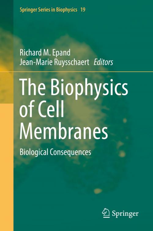 Cover of the book The Biophysics of Cell Membranes by , Springer Singapore