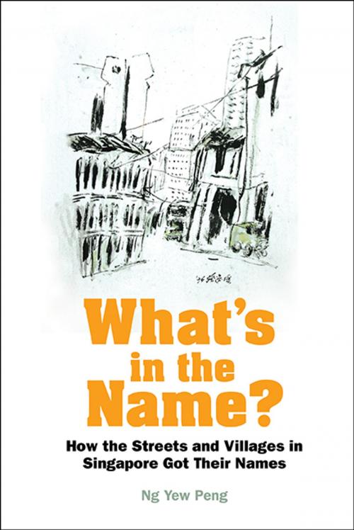 Cover of the book What's in the Name? by Yew Peng Ng, World Scientific Publishing Company
