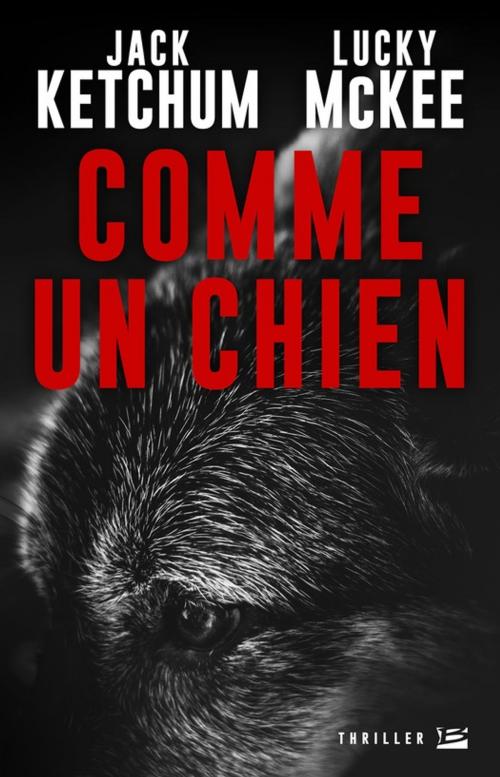 Cover of the book Comme un chien by Lucky McKee, Jack Ketchum, Bragelonne
