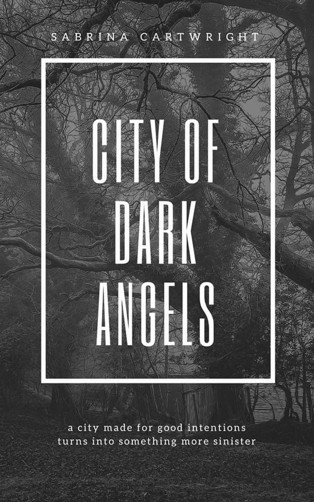 Big bigCover of City of Dark Angels