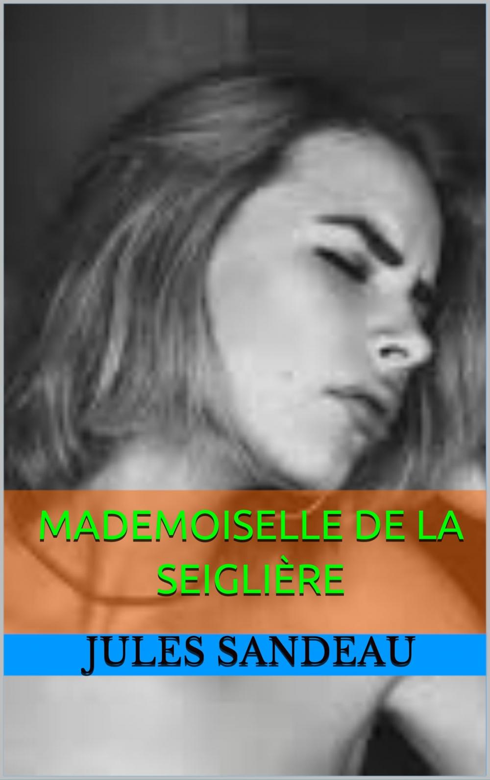 Big bigCover of mademoiselle de la seiglière