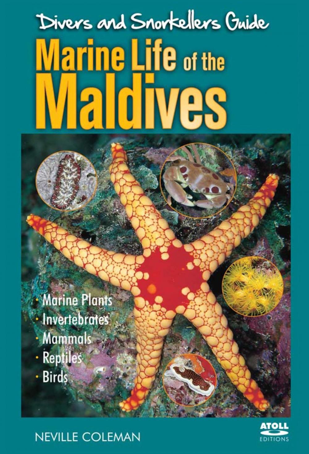 Big bigCover of Marine Life of the Maldives