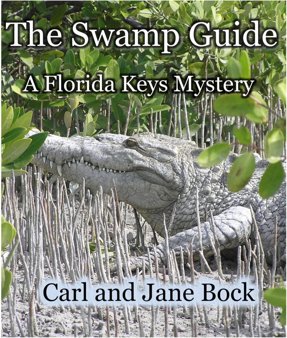 Big bigCover of The Swamp Guide
