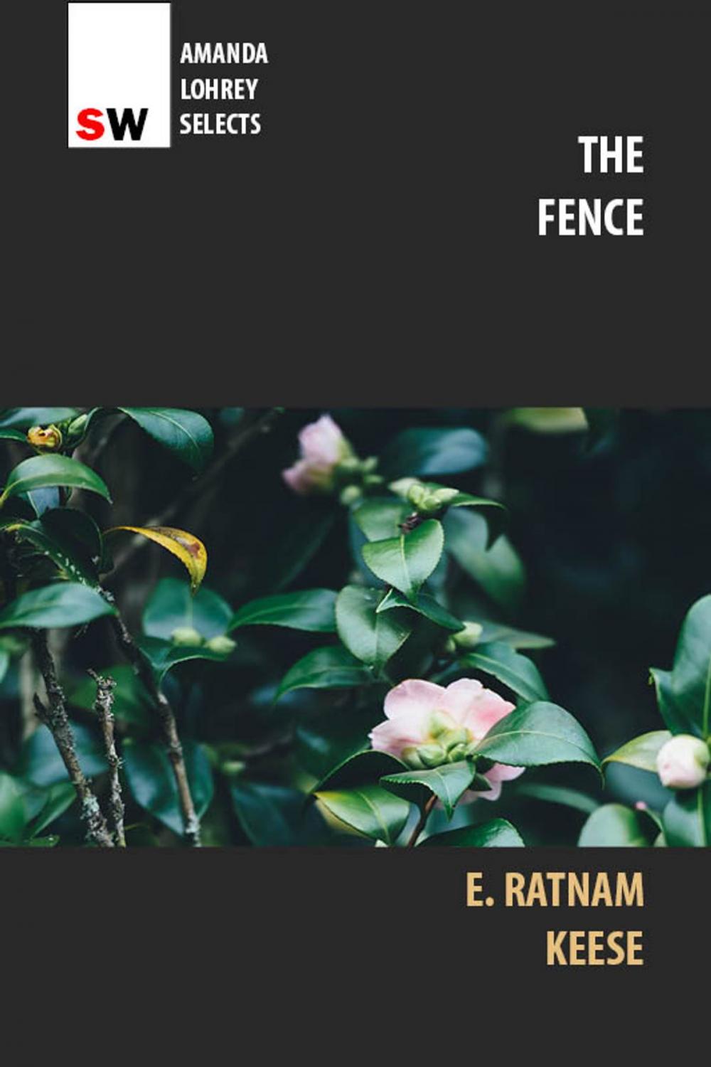 Big bigCover of The Fence