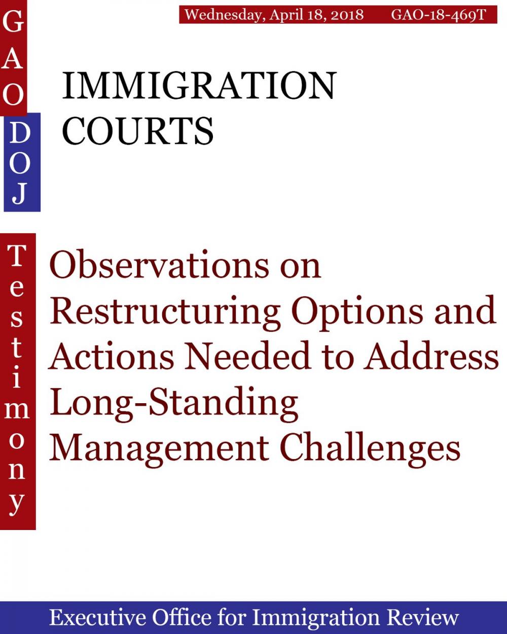 Big bigCover of IMMIGRATION COURTS
