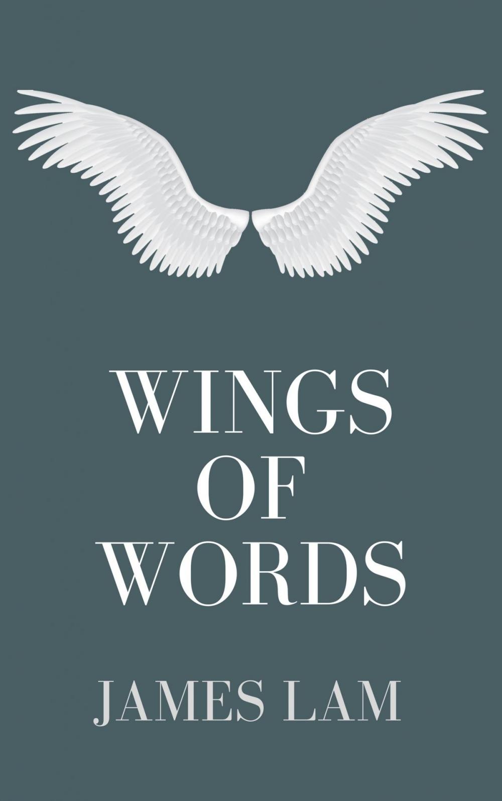 Big bigCover of Wings of Words