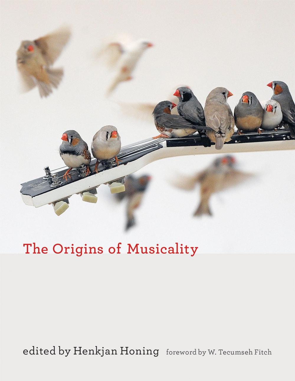 Big bigCover of The Origins of Musicality