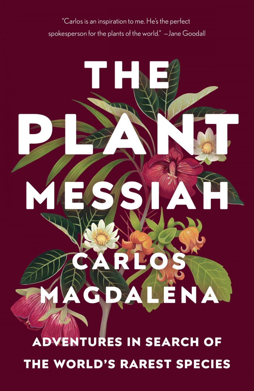 Big bigCover of The Plant Messiah