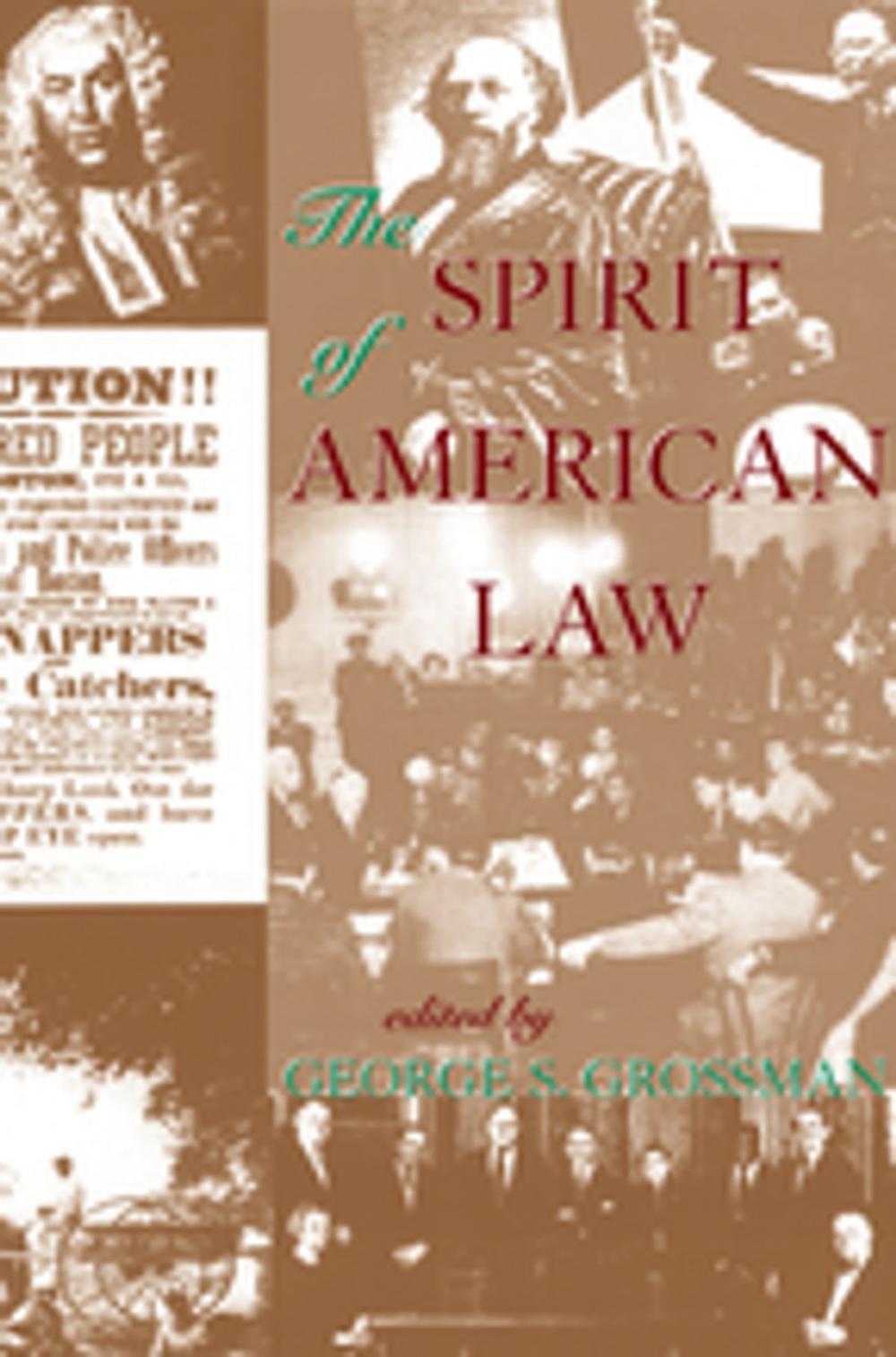 Big bigCover of The Spirit Of American Law