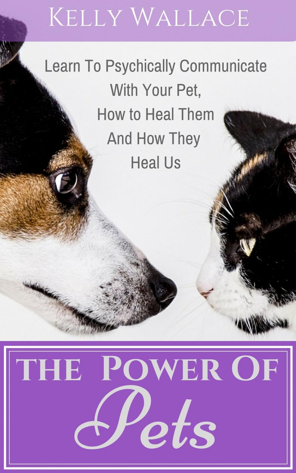 Big bigCover of The Power of Pets: How to Psychically Communicate With Your Pet