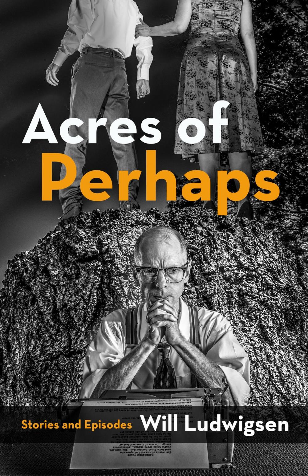 Big bigCover of Acres of Perhaps: Stories and Episodes