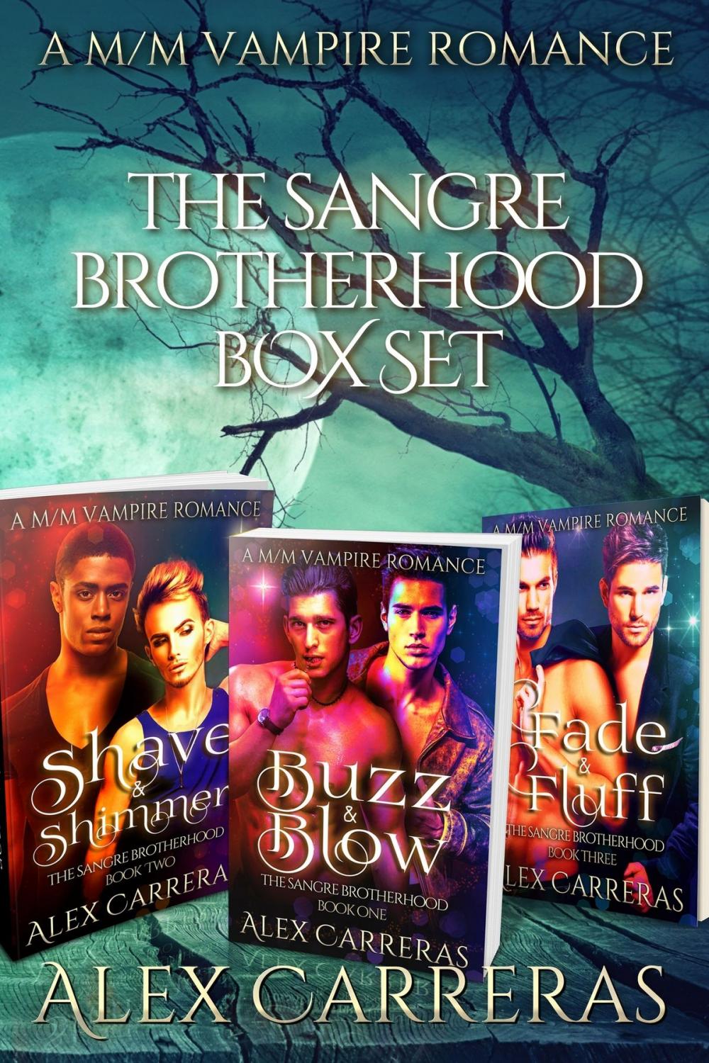Big bigCover of The Sangre Brotherhood: Box Set