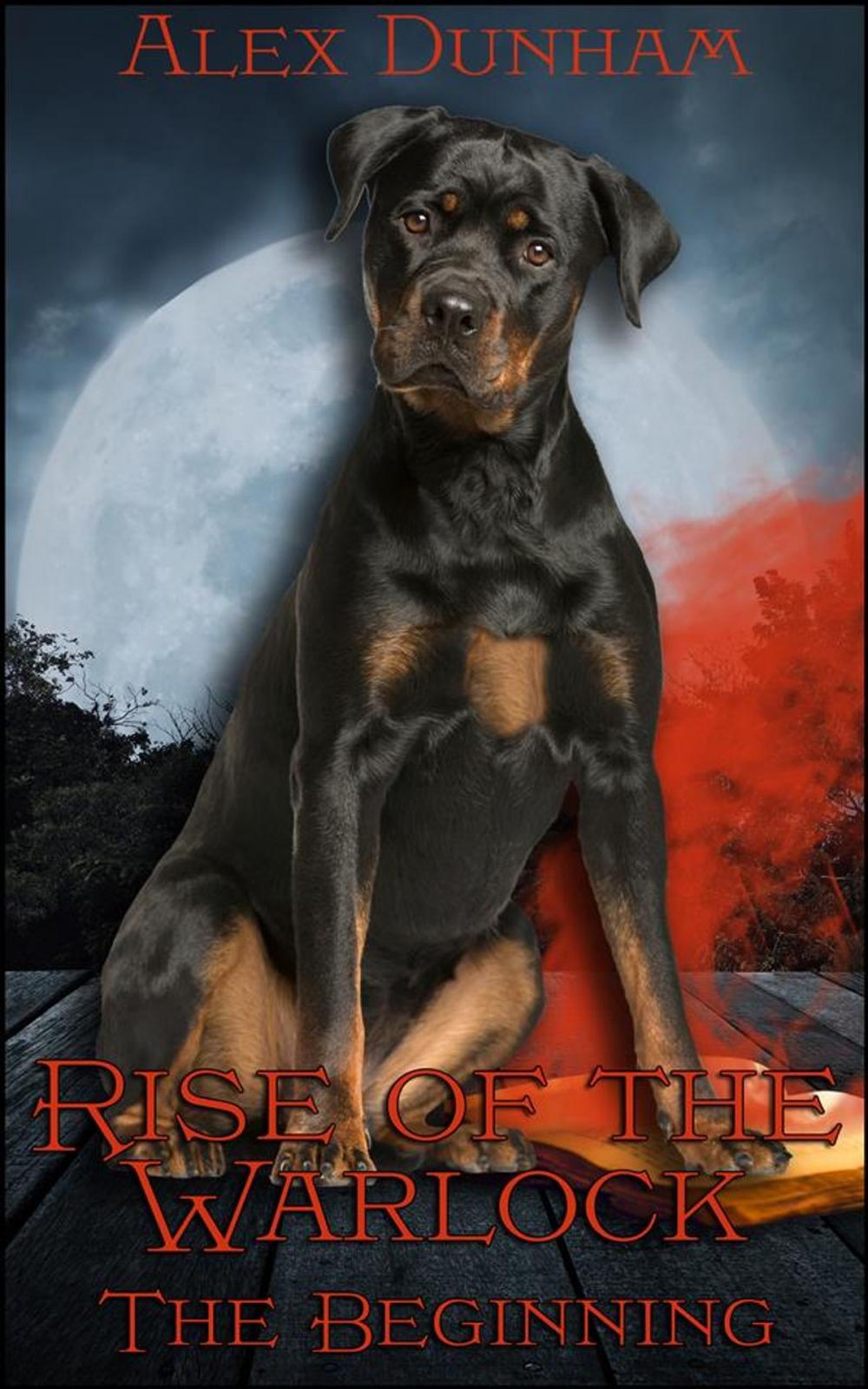 Big bigCover of Rise of the Warlock: The Beginning