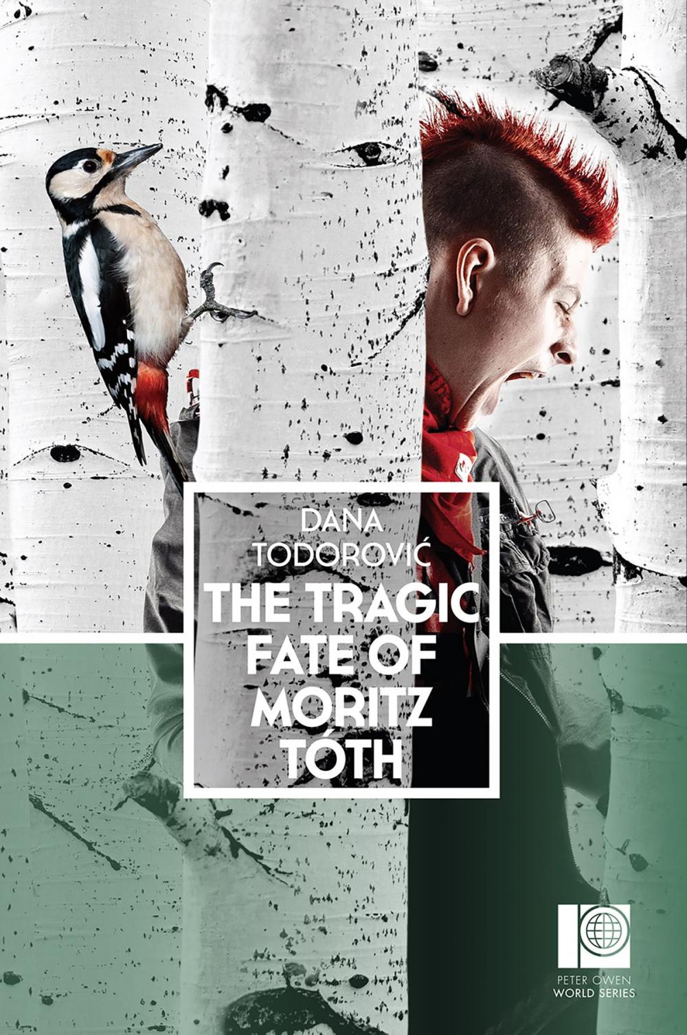 Big bigCover of The Tragic Fate of Moritz Toth