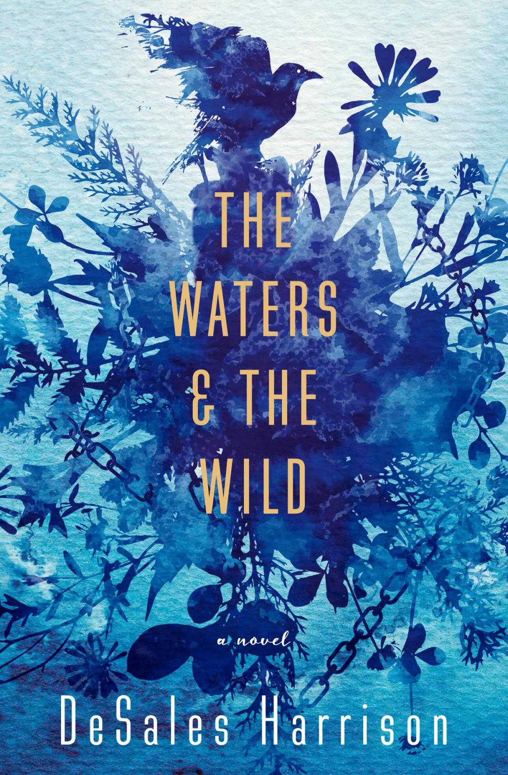 Big bigCover of The Waters & The Wild