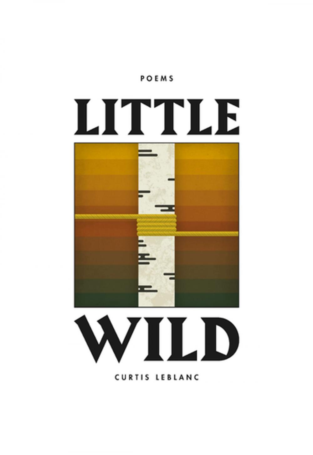 Big bigCover of Little Wild