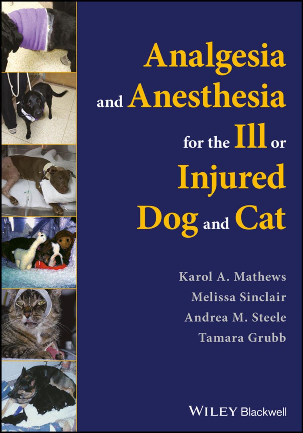 Big bigCover of Analgesia and Anesthesia for the Ill or Injured Dog and Cat