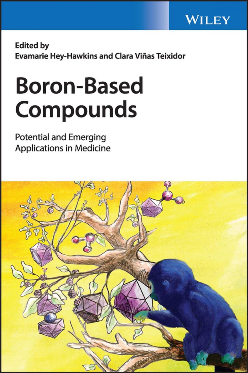 Big bigCover of Boron-Based Compounds