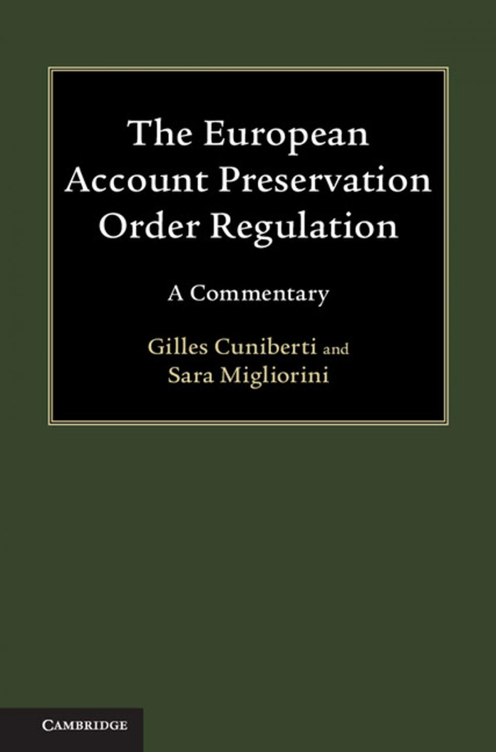 Big bigCover of The European Account Preservation Order Regulation
