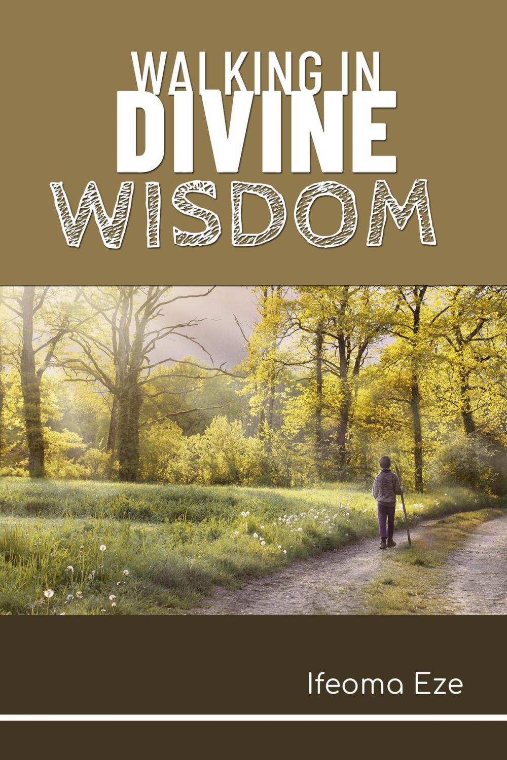 Big bigCover of Walking in Divine Wisdom