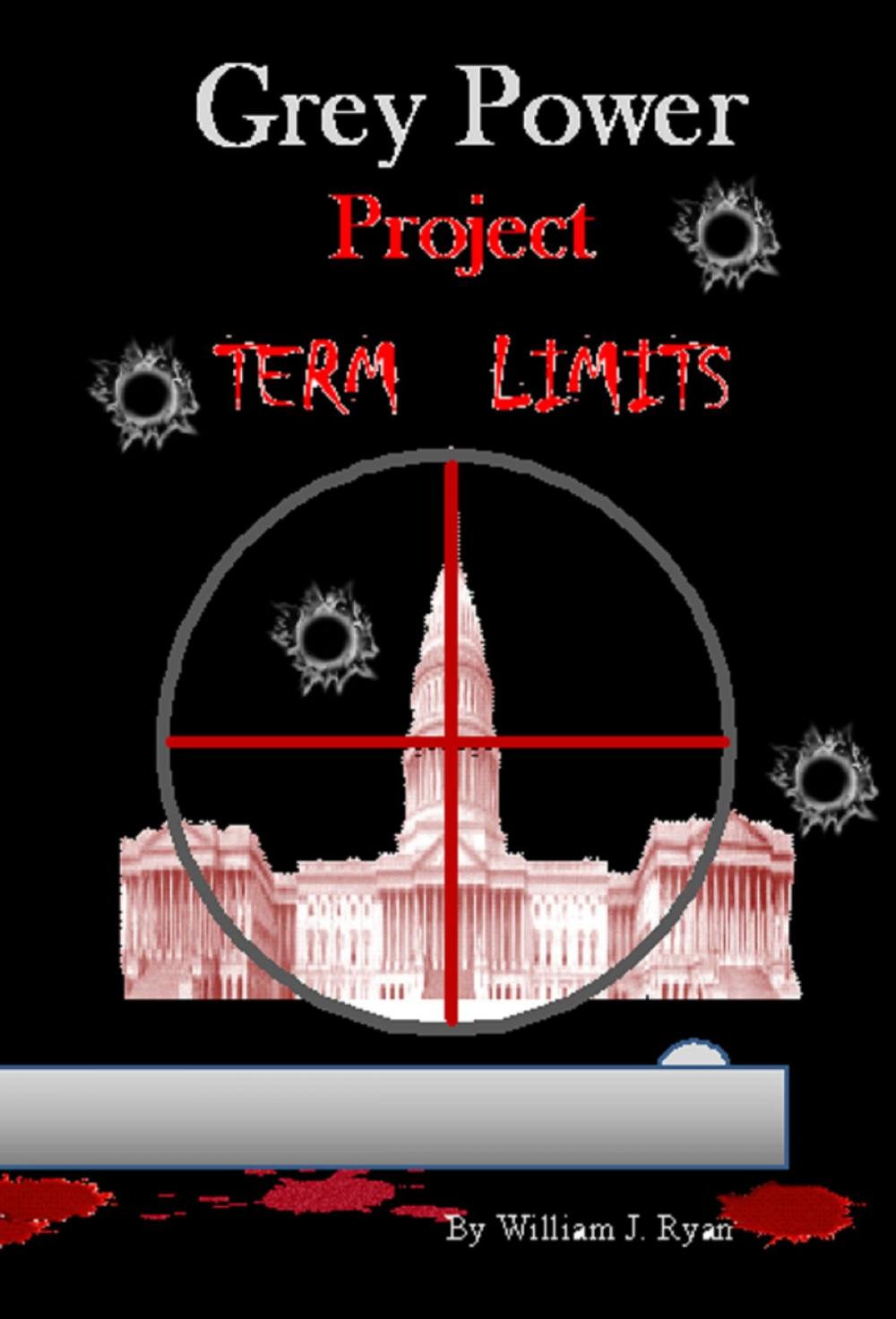 Big bigCover of Grey Power: Project Term Limits