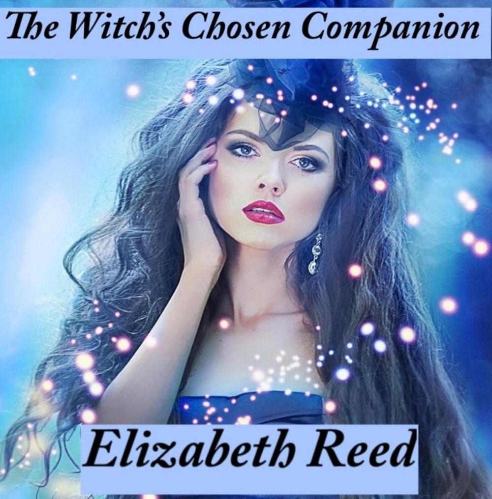 Big bigCover of The Witch’s Chosen Companion