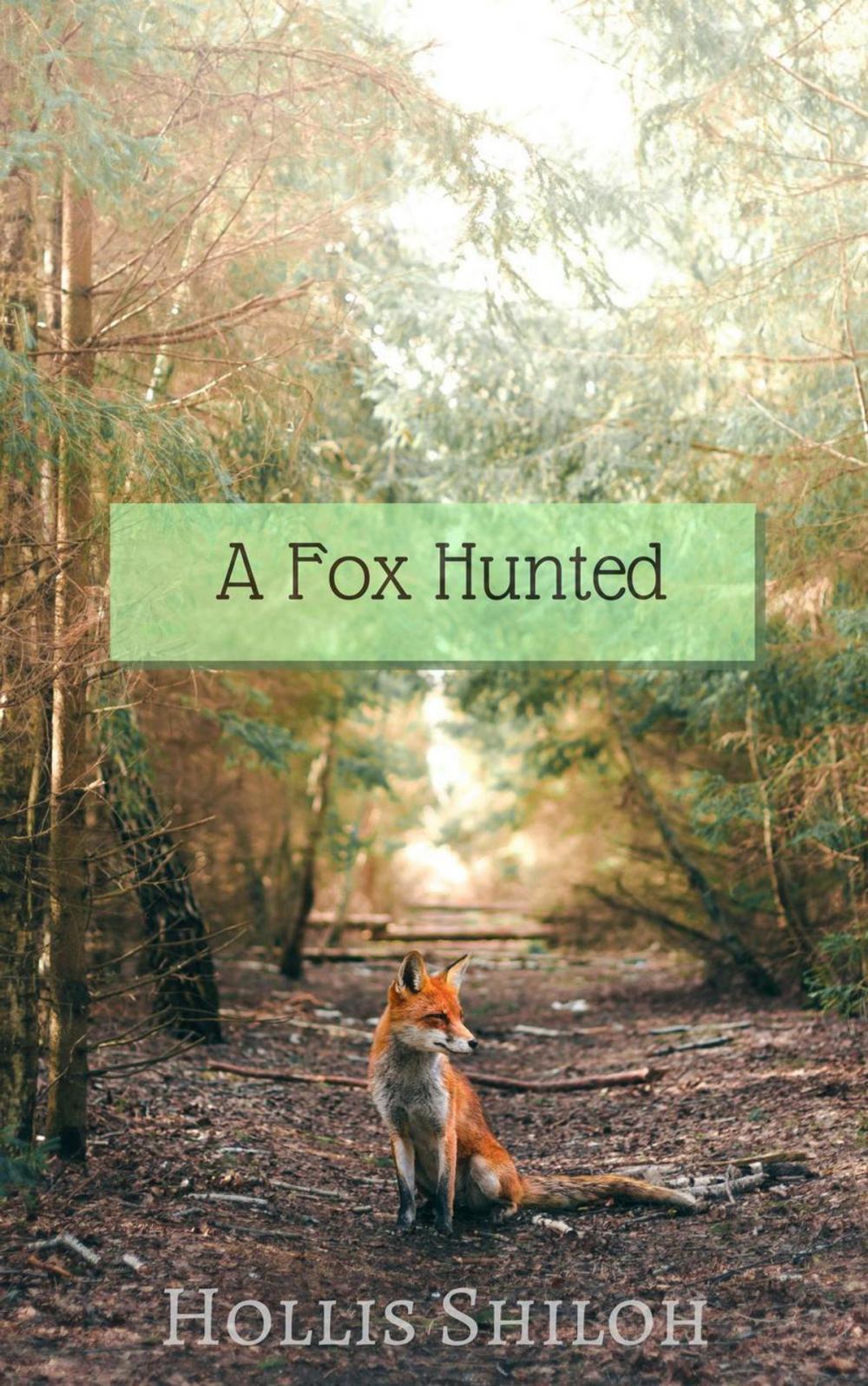 Big bigCover of A Fox Hunted