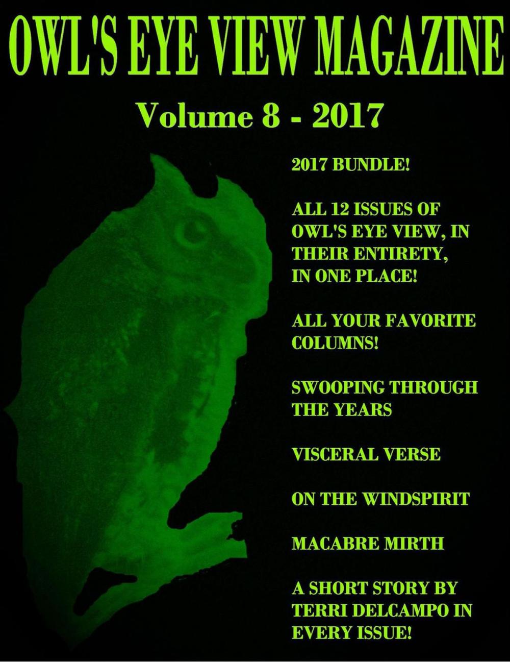 Big bigCover of Owl's Eye View Magazine - Volume 8 - 2017 - Year End Bundle