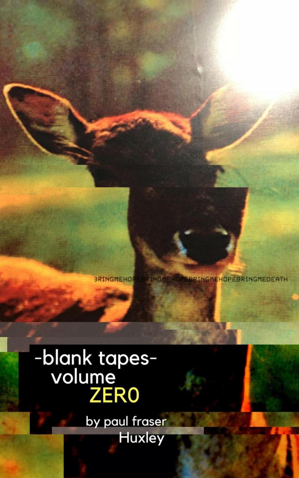 Big bigCover of Blank Tapes Volume Zero