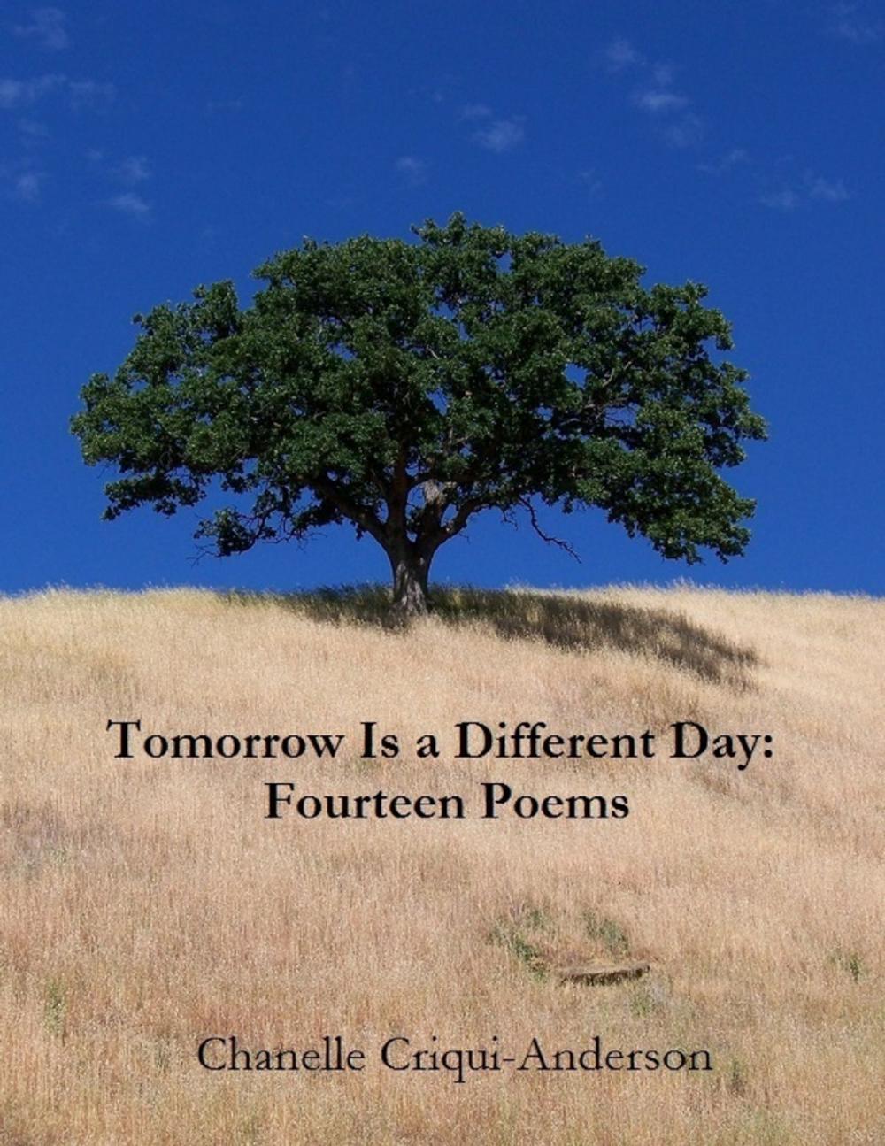 Big bigCover of Tomorrow Is a Different Day: Fourteen Poems