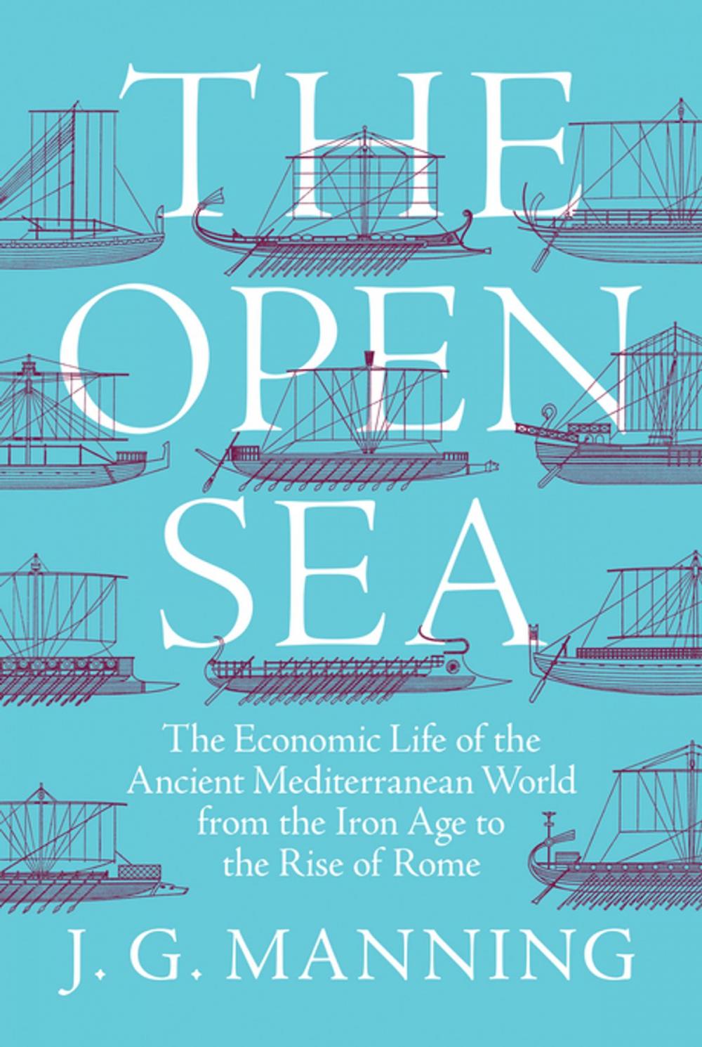 Big bigCover of The Open Sea
