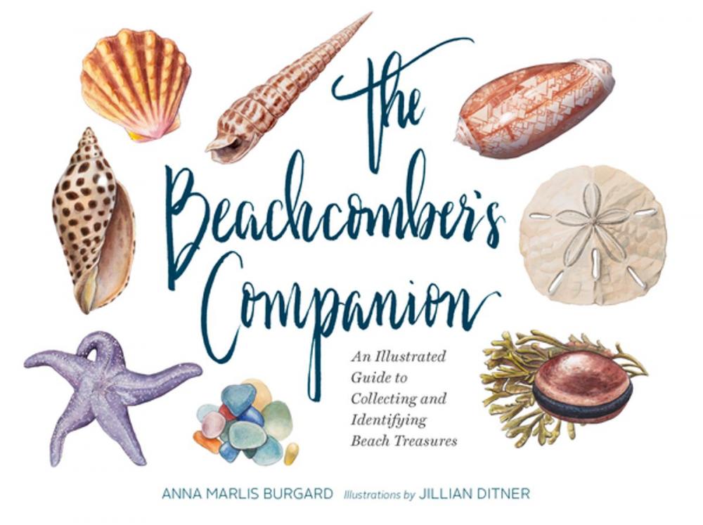 Big bigCover of The Beachcomber's Companion
