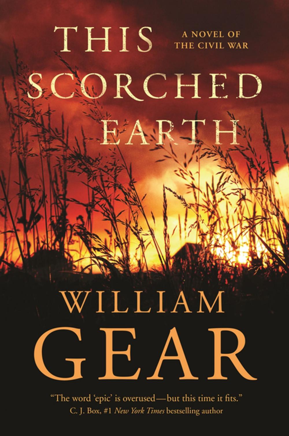 Big bigCover of This Scorched Earth