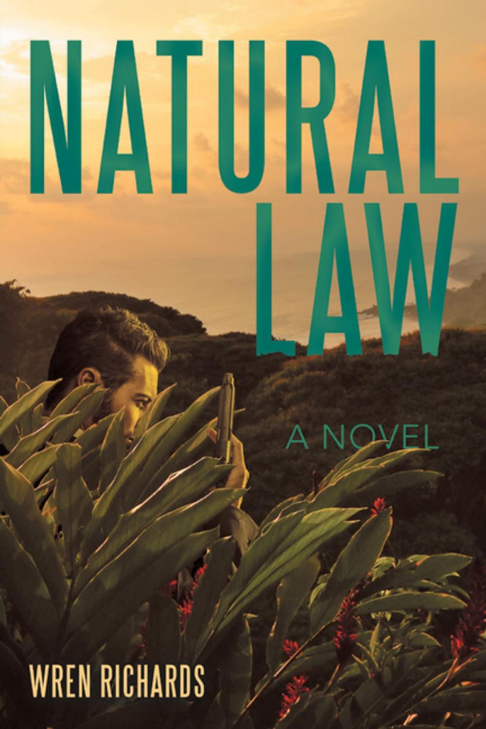 Big bigCover of Natural Law