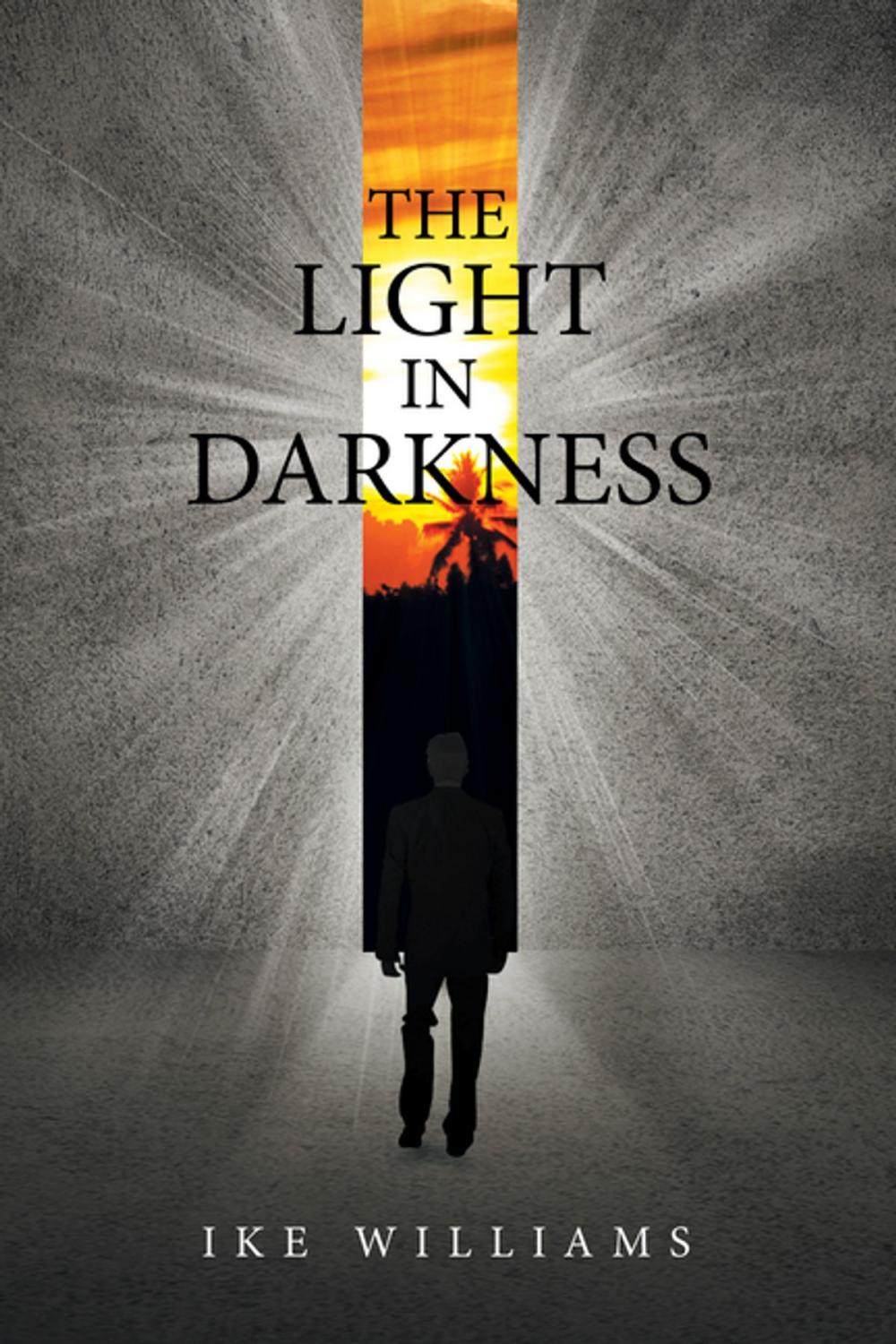 Big bigCover of The Light in Darkness