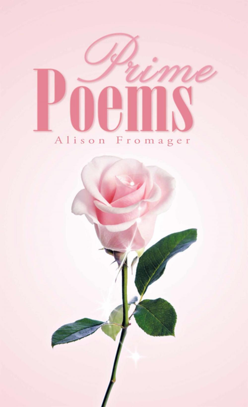 Big bigCover of Prime Poems